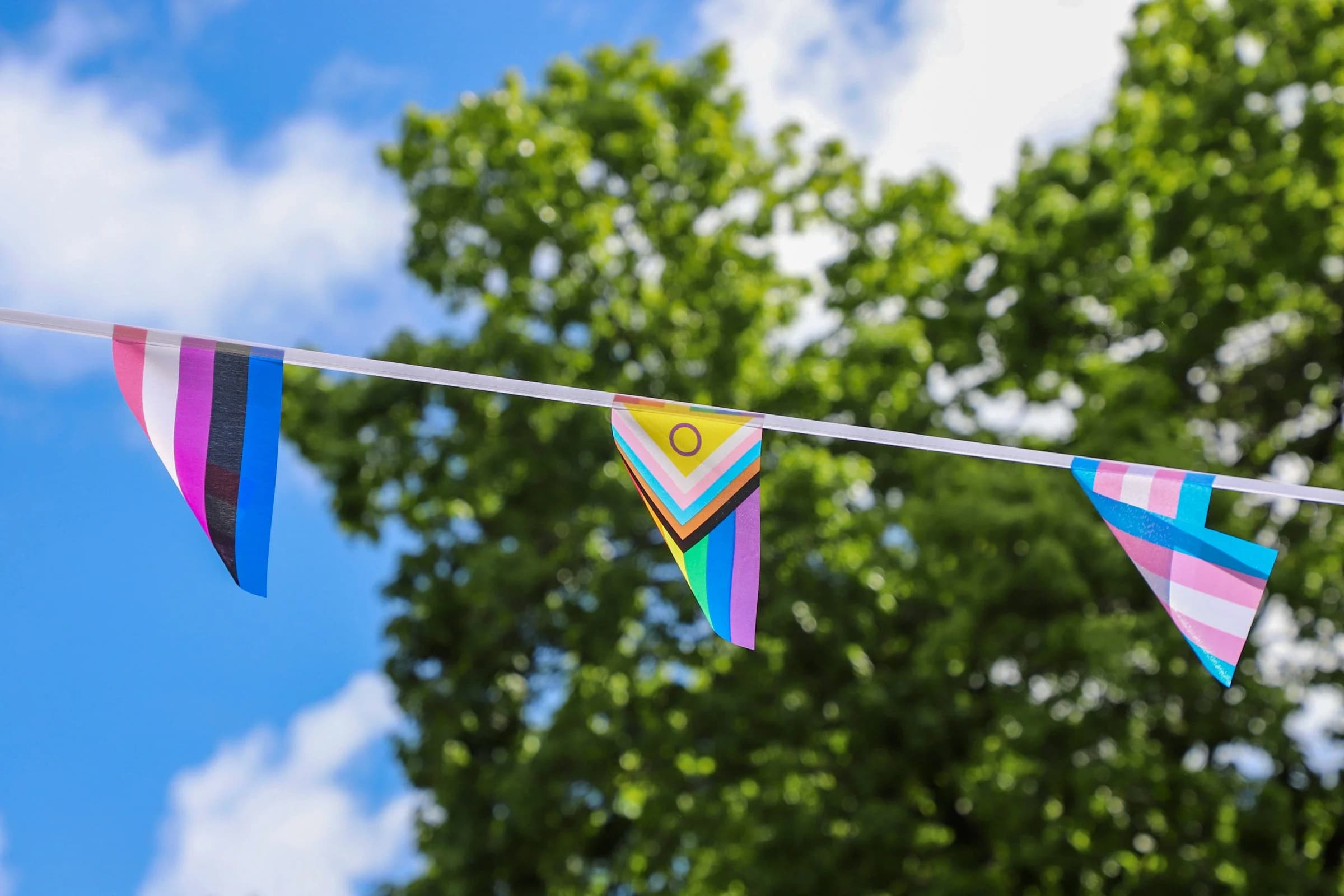 Lower Adirondack Pride, photo from the organization's website.